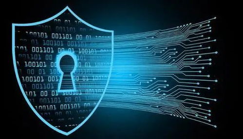 信息時代，維護網絡安全刻不容緩 聚焦網絡與信息安全軟件開發